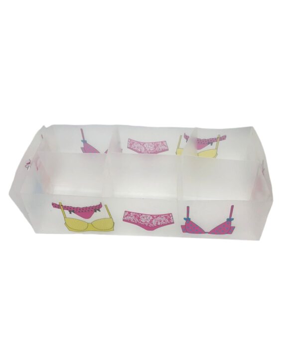 ORGANIZADOR DE ROPA INTERIOR - Imagen 2
