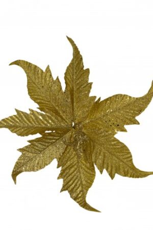 ESTRELLA FEDERAL DOR