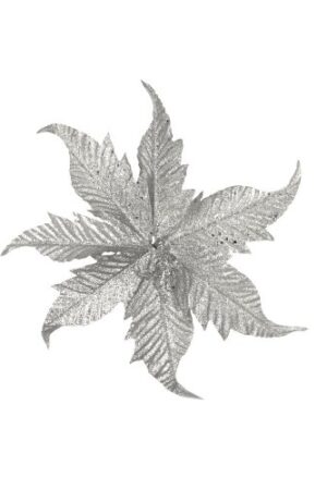 ESTRELLA FEDERAL PLA