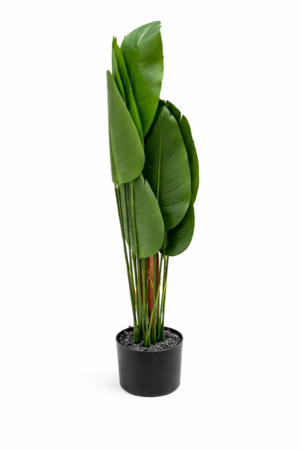 PLANTA ARTIFICIAL