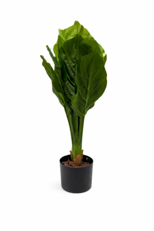 PLANTA ARTIFICIAL
