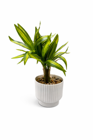 PLANTA ARTIFICIAL