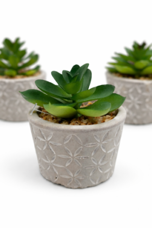 SUCULENTA ARTIFICIAL